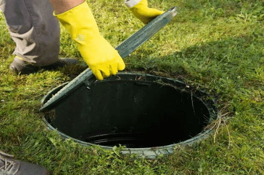 Report Of Inspection Image