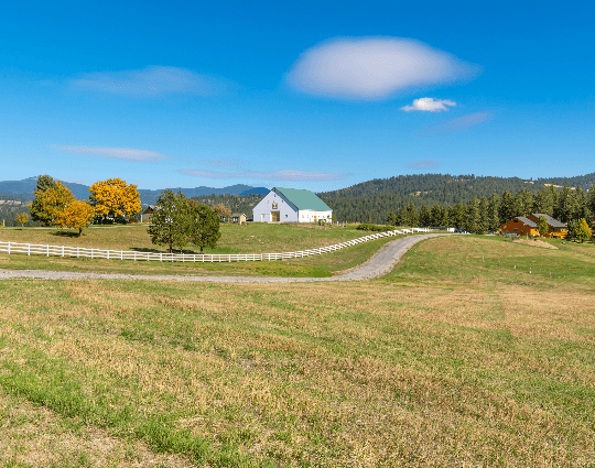 Septic Handsome Price Image