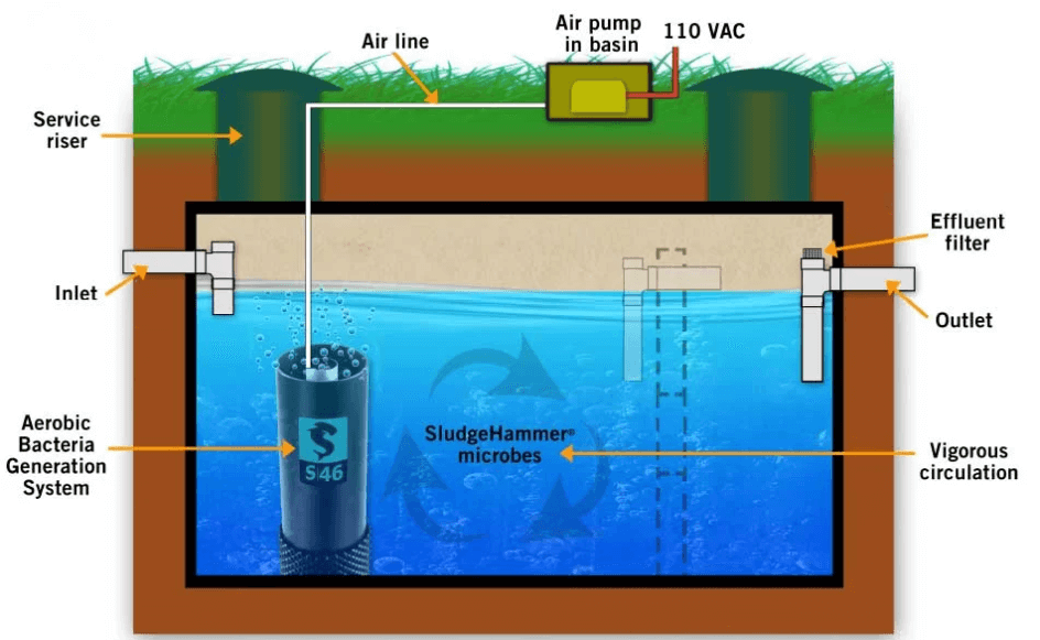 Sludge Hammer Microbes Image