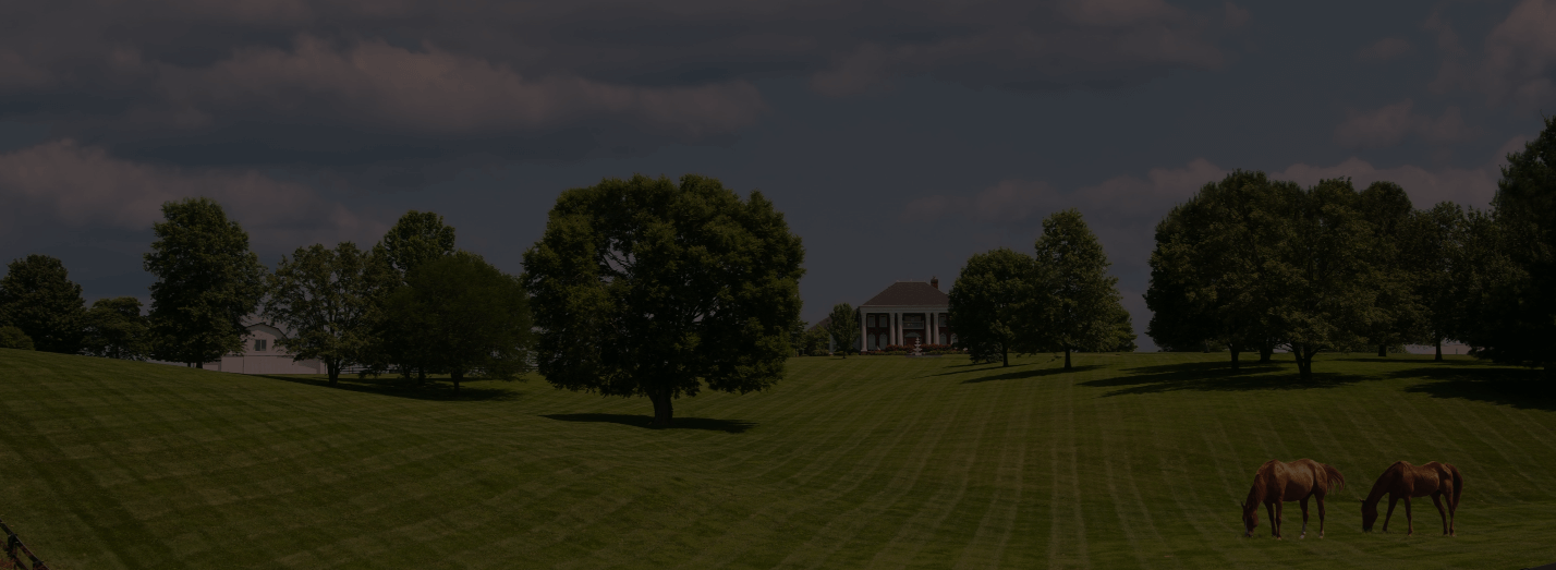 Two Beautiful Horses Eating In the Garden Image