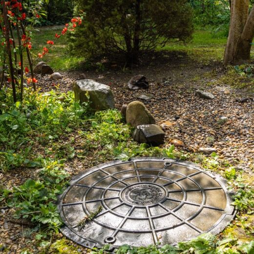 Septic Field Remediation