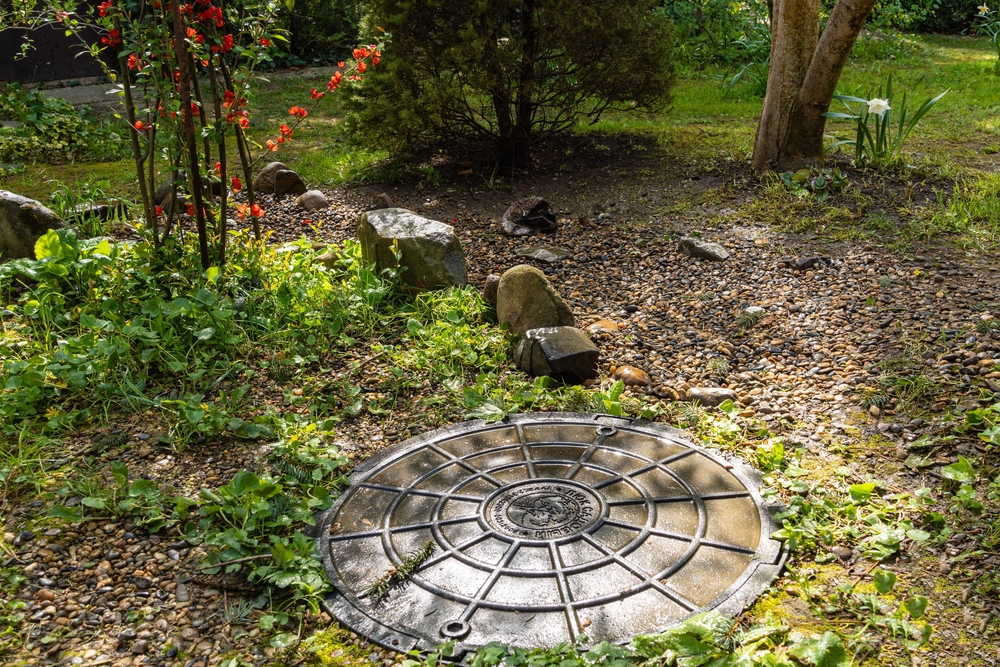 Septic Field Remediation