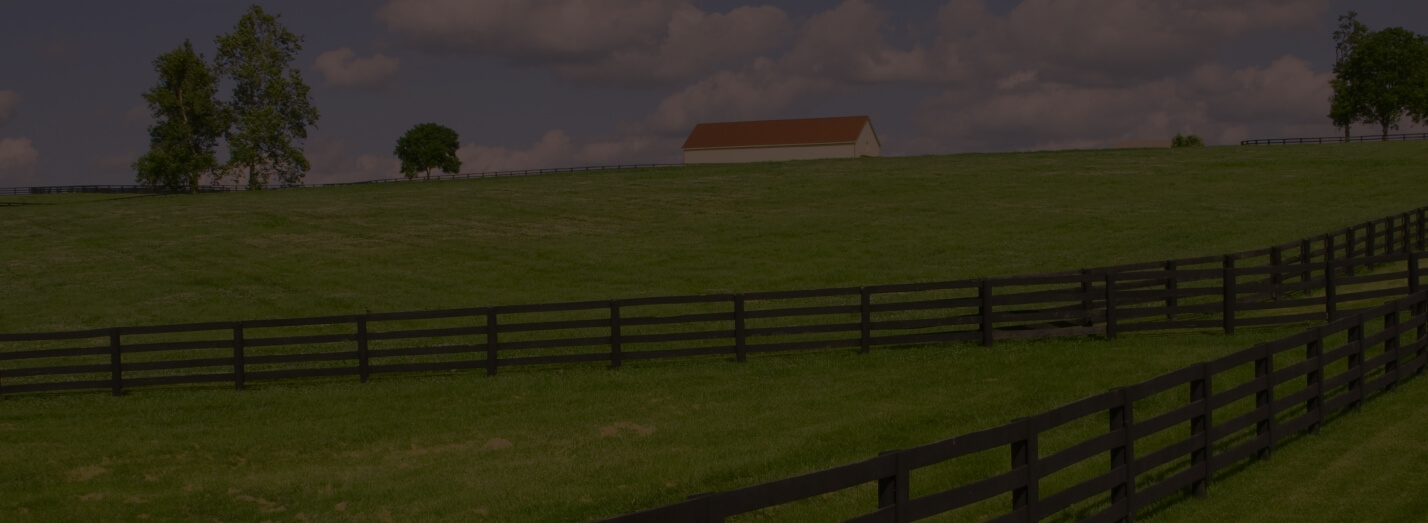 Callout lower bg image